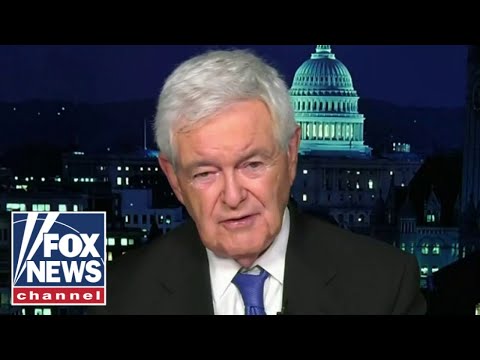 Newt Gingrich: Democrats are 'desperate' for this