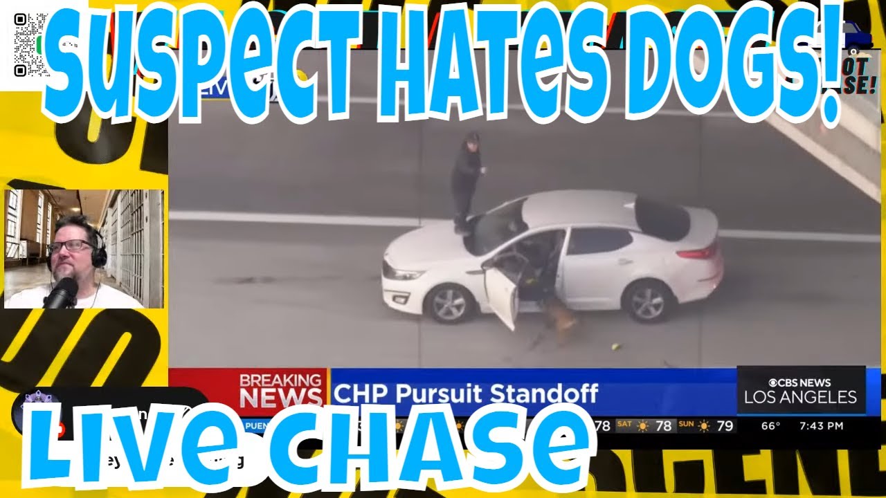 Live Police Chase of Reckless Suspect in LA - YouTube