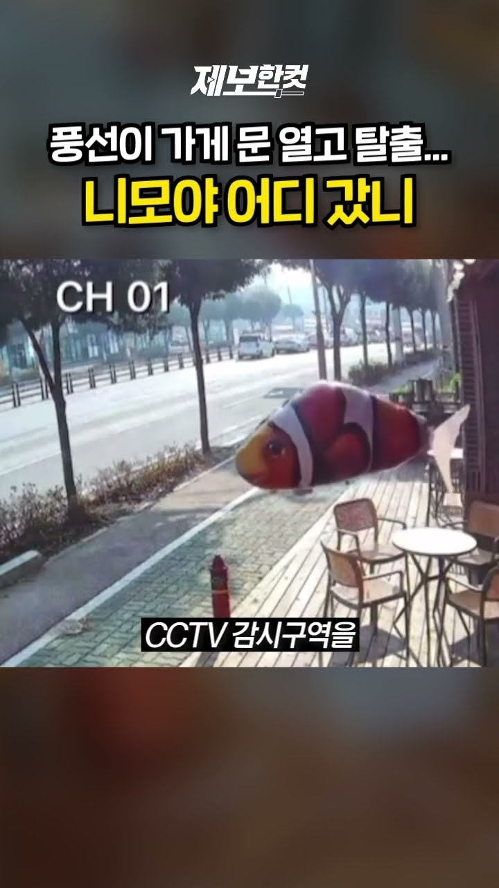 풍선이 가게 문 열고 탈출… 니모야 어디 갔니 [제보한컷] #shorts / YTN