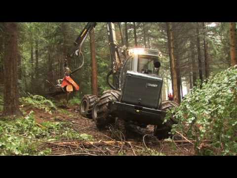 Vidéo: Herbes Forestières D'Ossétie Du Nord. Partie 1