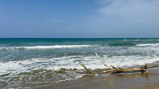 Tropical Beach Waves ASMR | Relaxing Ocean Sounds on a Wild Tropical Shore