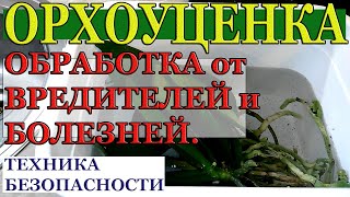 ОРХОУЦЕНКА. ОБРАБОТКА ОТ ВРЕДИТЕЛЕЙ И БОЛЕЗНЕЙ. ПРЕВИКУР и ФИТОВЕРМ. ТЕХНИКА БЕЗОПАСНОСТИ