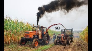 Ensilage à l'ancienne | Chaulieu 2018