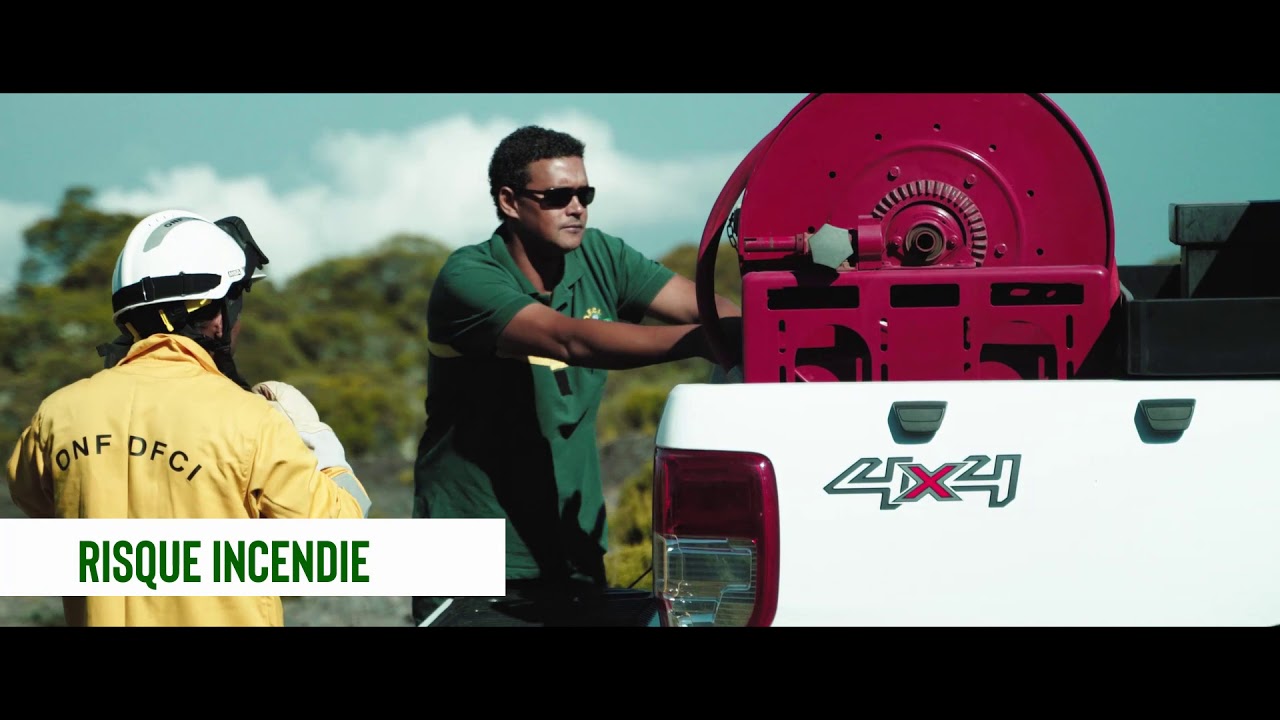 Aux racines du savoir-faire de l'ONF sur l'île de La Réunion