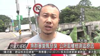 1050426觀天下新聞HD04 瑞芳區魚群暴斃飄惡臭 公所取樣檢測追原因