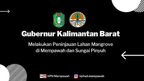 Hutan mangrove berfungsi sebagai habitat atau tempat hidup binatang laut misalnya tempat berlindung