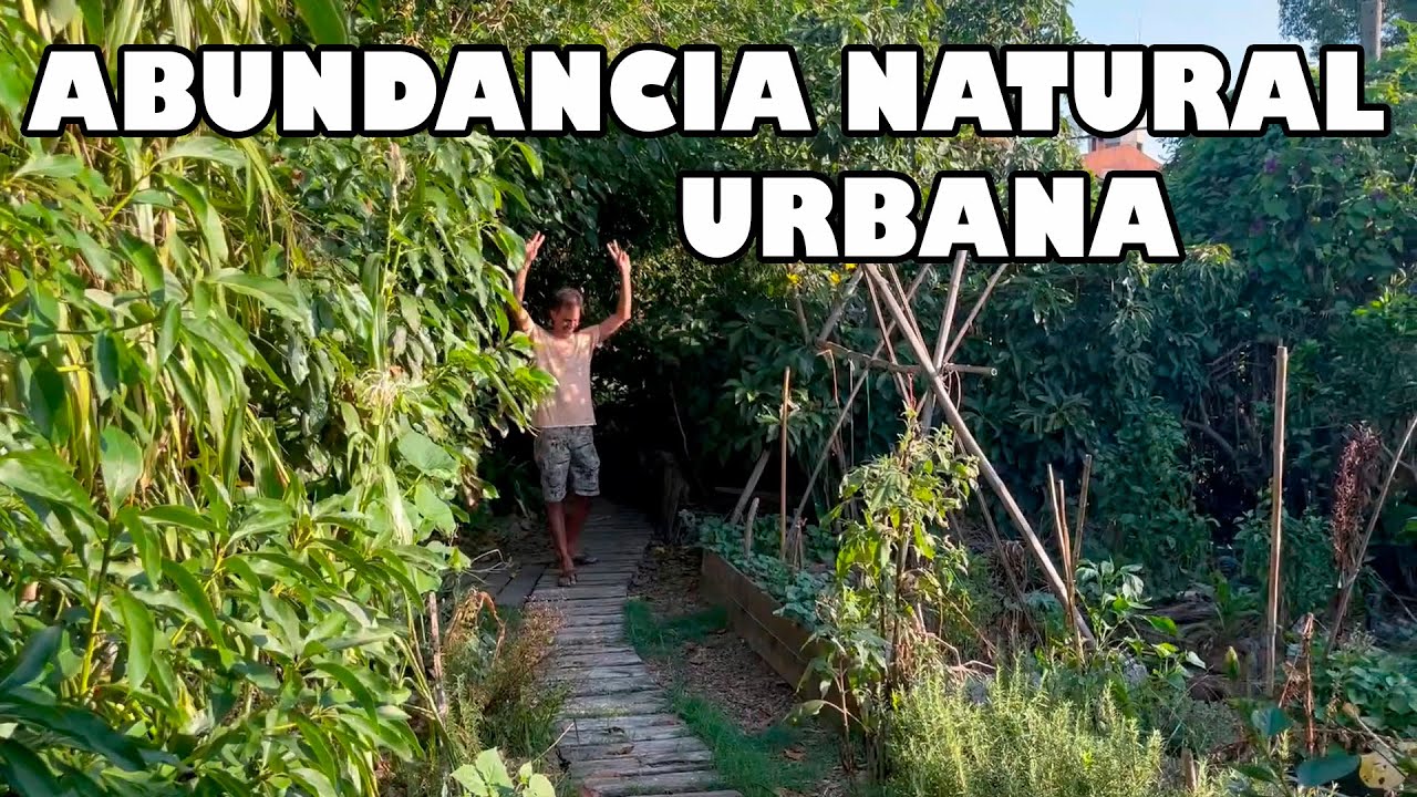 BOSQUE de ALIMENTOS Urbano & ABUNDANTE - Permacultura & PuraVida