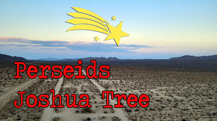 Catching Perseids Meteor Shower in Joshua Tree | Vlog