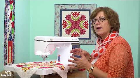 Insider Tips Teach Me to Appliqu with Pat Sloan
