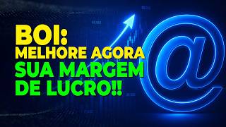 BOI: MELHORE AGORA SUA MARGEM DE LUCRO!!