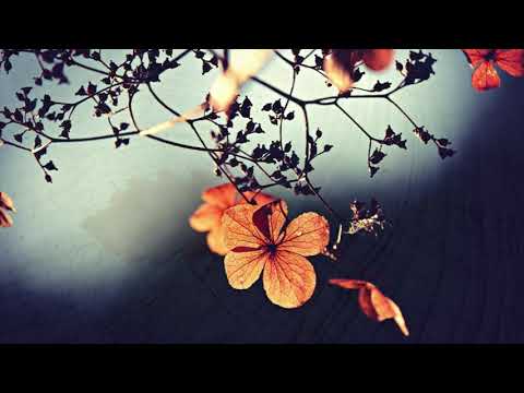 黎明-深秋的黎明