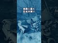 もし世界中の核兵器が一斉に都市へ撃ち込まれたらどうなる？