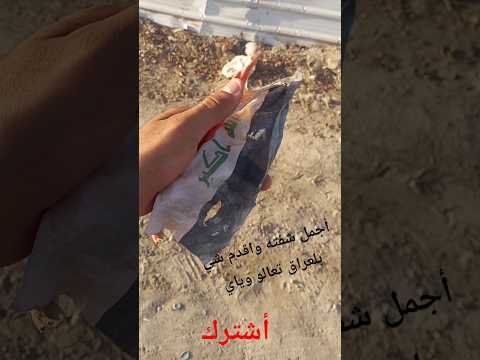 أقدم جمعيه بلعراق مدرسه فلسطين ملعب الخماسي للمدينه محتوى ينقل صوره كما هيه اشتراك يوم عبدالقادر