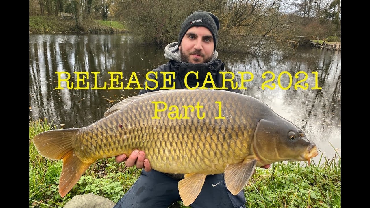 Release Carpe 2021