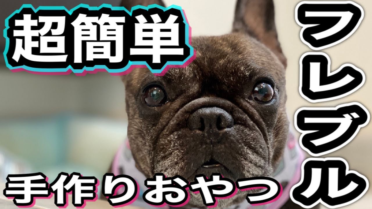 元保護犬フレンチブルドッグ 超簡単 犬の手作りおやつ ささみジャーキー Youtube