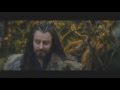 hoping i will carry (you) (thorin&amp;baker&#39;swife, thor&amp;katniss)