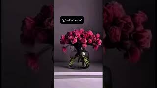 Sevgi Güzelleştirir Dimi