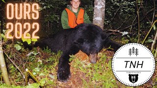 Chasse à l'ours 2022  Black Bear Hunting 2022  TruNorth Hunters