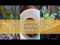Produktbewertung AquaOne Aquarium Kies Sand 5 kg I Bodengrund hell schwarz bunt fein mittel grob I A
