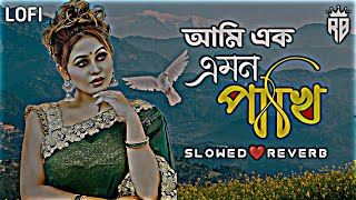 Ami Ek Amon Pakhi || আমি এক এমন পাখি |[Slowed+Reverb] Bangla Lo-fi Remix Songs | Tik Tok Viral Song
