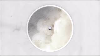 Celebrity Primal Code - Magellano Net Worth