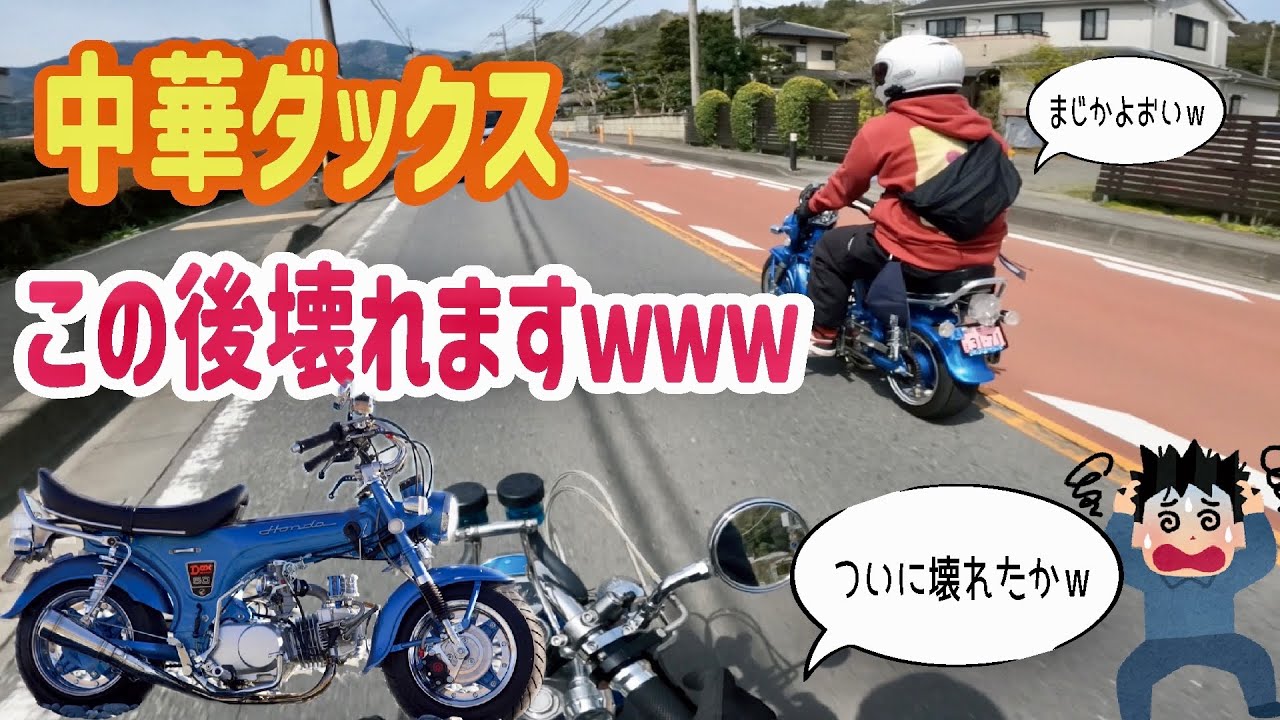 Motoblog] Going cherry blossom touring with a Dax is a big deal