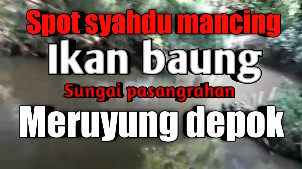 Mancing ikan baung di sungai pasangrahan