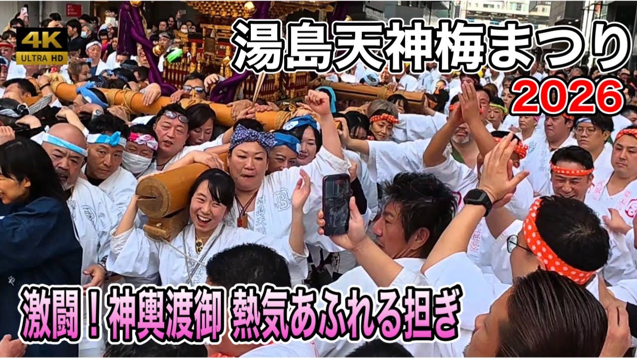【湯島天神梅まつり2026】激しい神輿渡御！熱気あふれる担ぎの連続