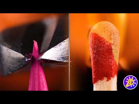 Fantastic Macro World! Look at familiar Objects from a Different Perspective
