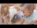初めてハイハイする赤ちゃんと、なでて欲しい猫