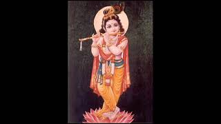 Swami Shri Ramsukhdasji Mahara - 105 10920 0518