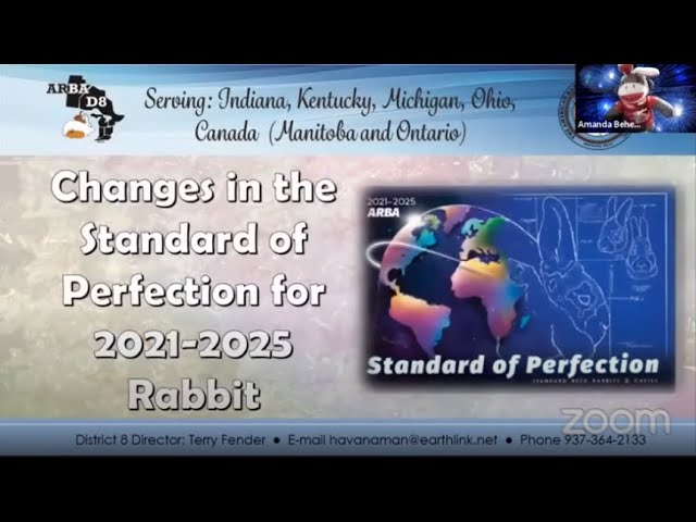 Arba Rabbit Standard Of Perfection