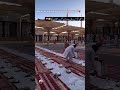 یا اللہ 2026 میں ہم لوگوں کو مدینہ کی حاضری نصیب عطا فرما