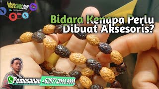 Download Lagu Bidara Kenapa Perlu Dibuat Aksesoris | bidarasurga.com MP3