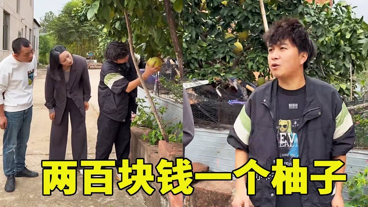 两百块钱一个柚子，简直就是强买强卖，你们太讨厌了#搞笑视频 #这操作都看傻了 😂😂