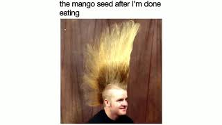 The Funniest Memes Compilation v33