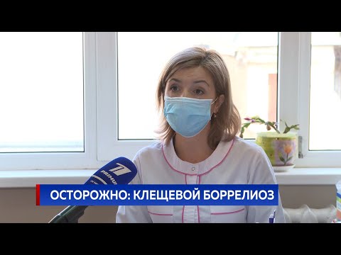 Video: Šunų Ir žmonių Užkrėtimas Borrelia Burgdorferi Niujorko Didmiestyje