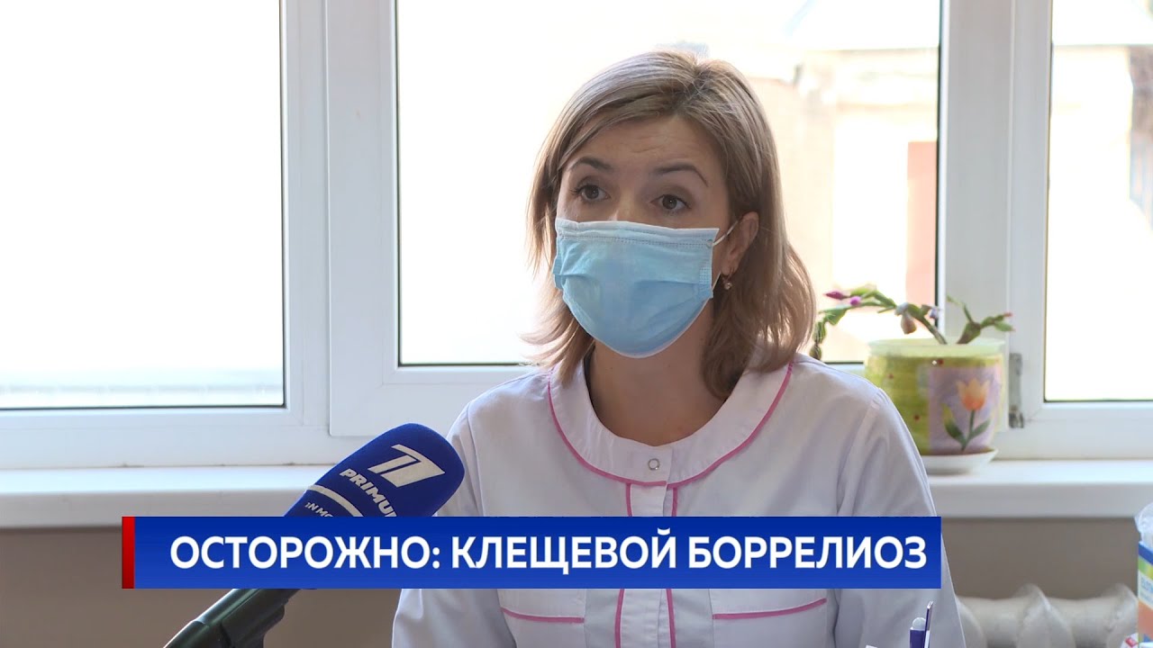 Осторожно: клещевой боррелиоз - YouTube