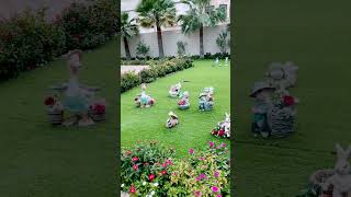 Download Lagu Beautiful home garden in Saudi Arabia #shorts #shortvideo #trending #arabic #garden MP3