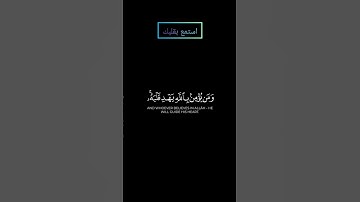 ما تيسر من سورة التغابن بصوت #ياسر_الدوسري #قرآن #قران_كريم