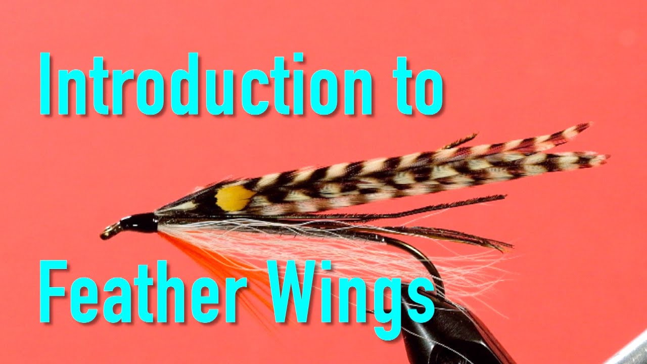 Traditional Bucktails and Streamers An Introduction to the Feather