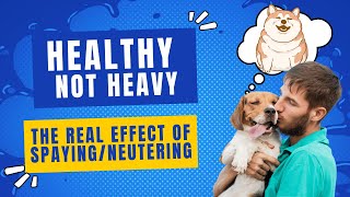 Spaying or Neutering Your Pet: Debunking the Myth of Weight Gain