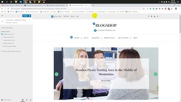BlogShop WordPress Theme Header Customization