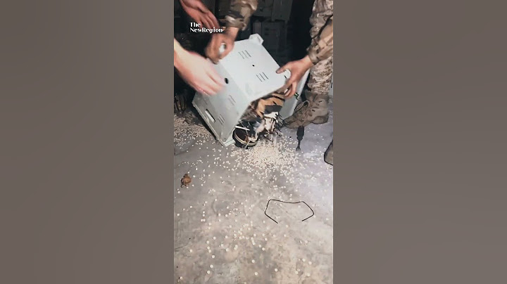 Syrian forces seize large amounts of captagon