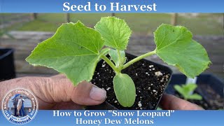 How to Grow 