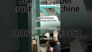 Industrial Black Pepper Grinding &amp; Crushing Machine