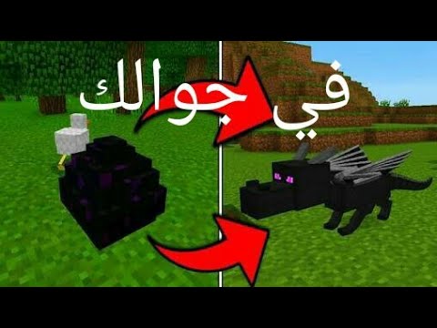 كيف تجعل بيضة التنين تفقس في ماين كرافت الجوال بدون مودات او اوامر Youtube