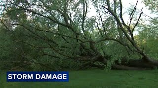 Storm downs large tree in Porter, Indiana