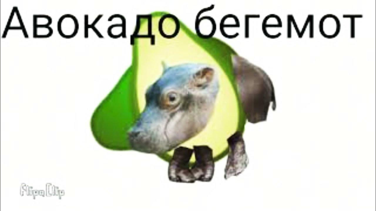 Мишка Сосиска - YouTube