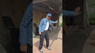 Спаниели и др.